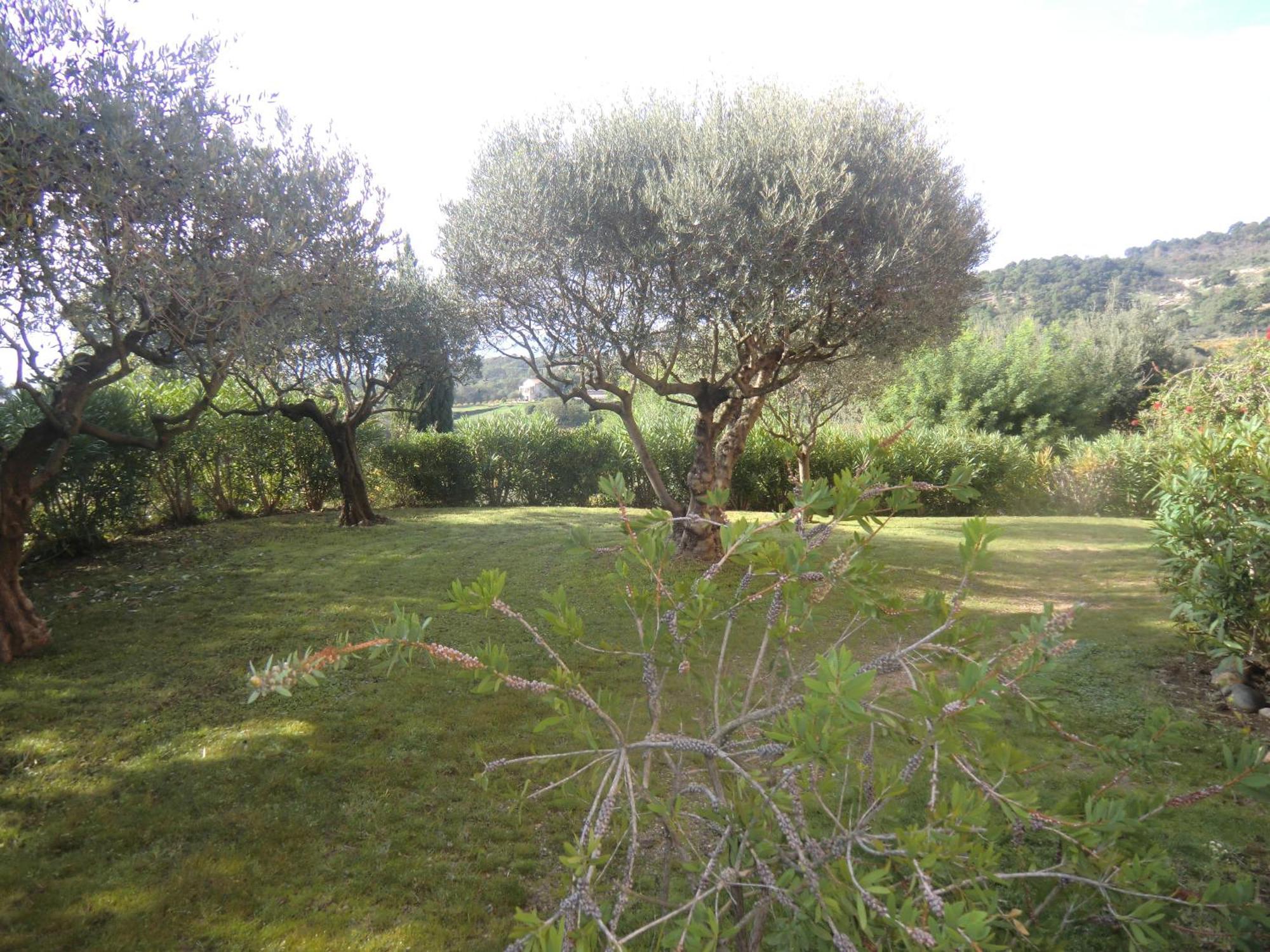Les Oliviers Apartment Grimaud Room photo
