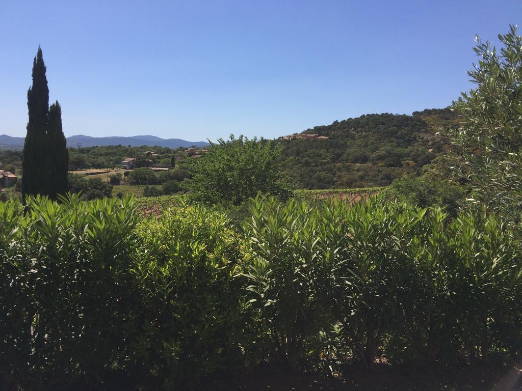 Les Oliviers Apartment Grimaud Exterior photo