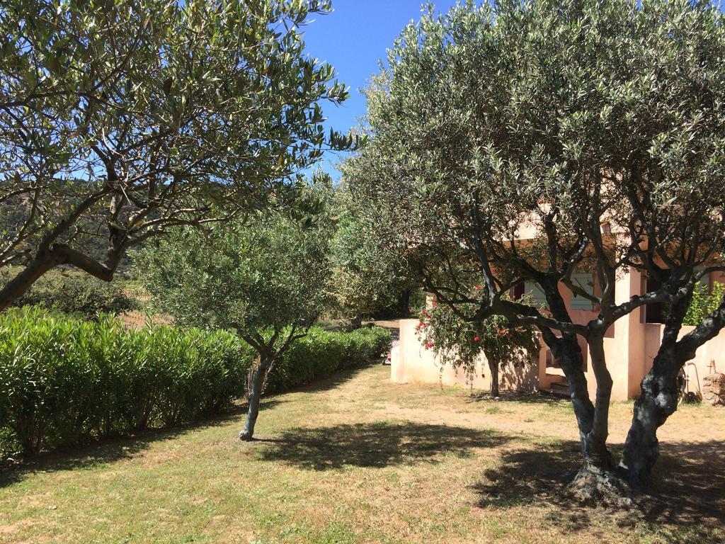Les Oliviers Apartment Grimaud Exterior photo